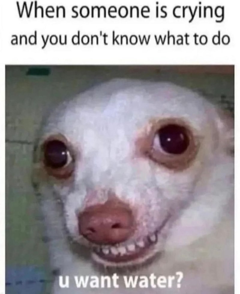 When someone is crying and you don't know what to do u want water?