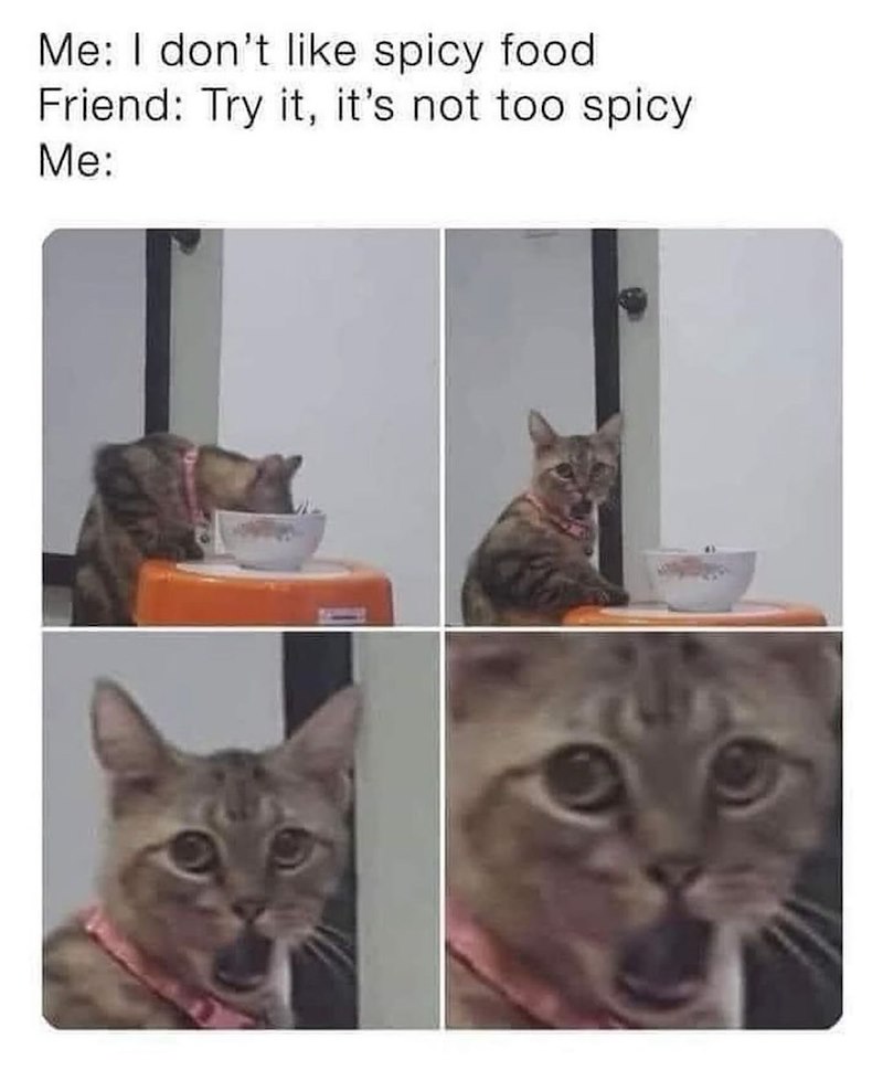 Me: I don't like spicy food. Friend: Try it, it's not too spicy Me: