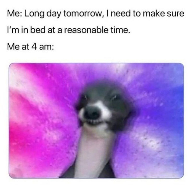 Me: Long day tomorrow, I need to make sure I'm in bed at a reasonable time. Me at 4 am: