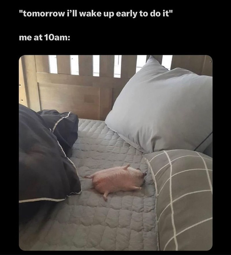 "tomorrow i'll wake up early to do it" me at 10am: