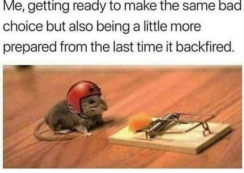 Me, getting ready to make the same bad choice but also being a little more prepared from the last time it backfired.