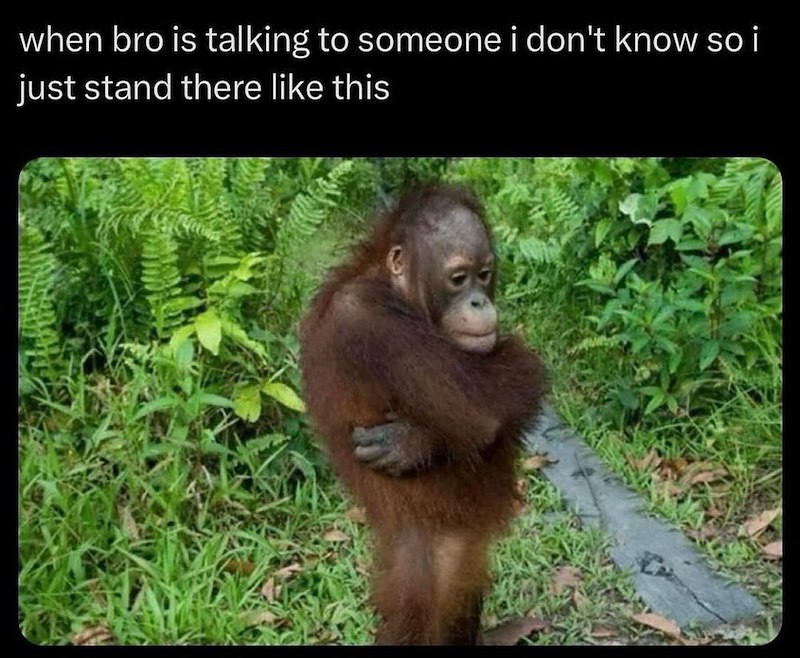 when bro is talking to someone i don't know so i just stand there like this