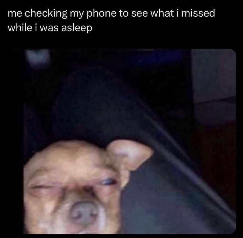 me checking my phone to see what i missed while i was asleep