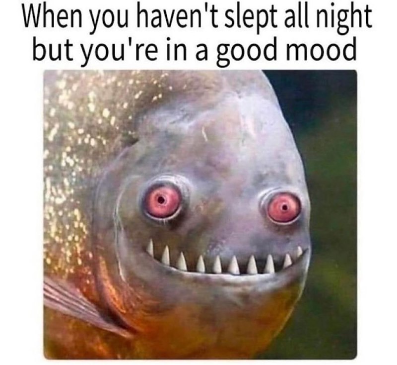 When you haven't slept all night but you're in a good mood