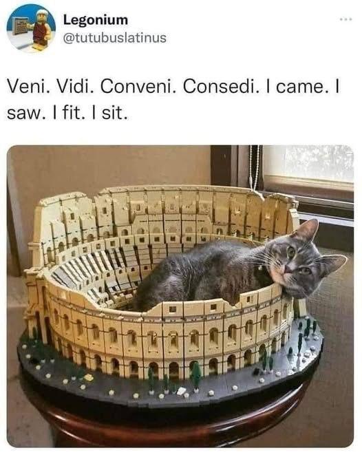 Legonium @tutubuslatinus Veni. Vidi. Conveni. Consedi. I came. I saw. I fit. I sit.