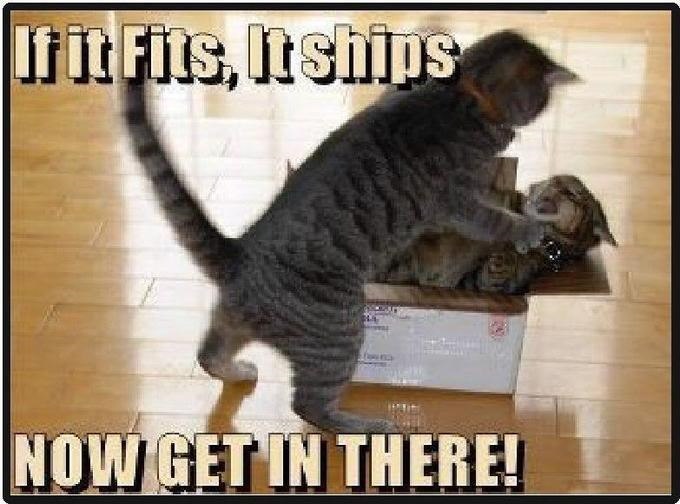 If it Fits, It ships NOW GET IN THERE!