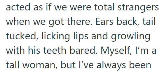 acted as if we were total strangers when we got there. Ears back, tail tucked, licking lips and growling with his teeth bared. Myself, I'm a tall woman, but I've always been