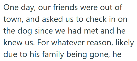 One day, our friends were out of town, and asked us to check in on the dog since we had met and he knew us. For whatever reason, likely due to his family being gone, he