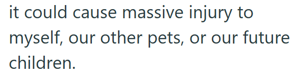 it could cause massive injury to myself, our other pets, or our future children.
