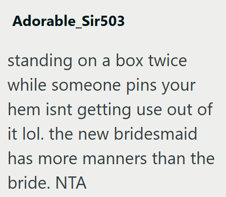 Adorable_Sir503 standing on a box twice while someone pins your hem isnt getting use out of it lol. the new bridesmaid has more manners than the bride. NTA