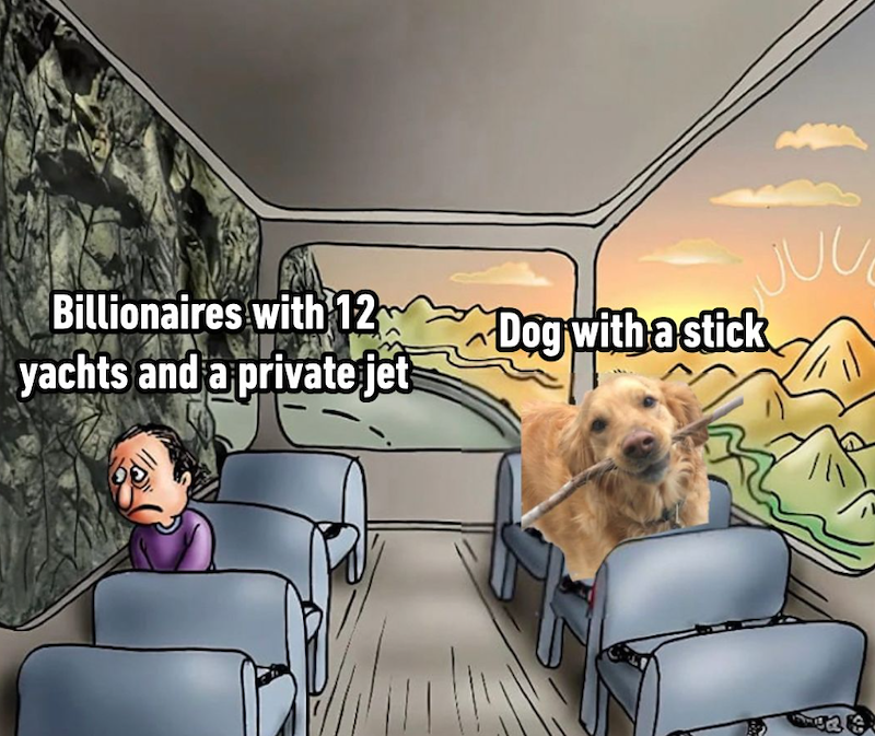 Billionaires with 12 JUC yachts and a private jet Dog with a stick