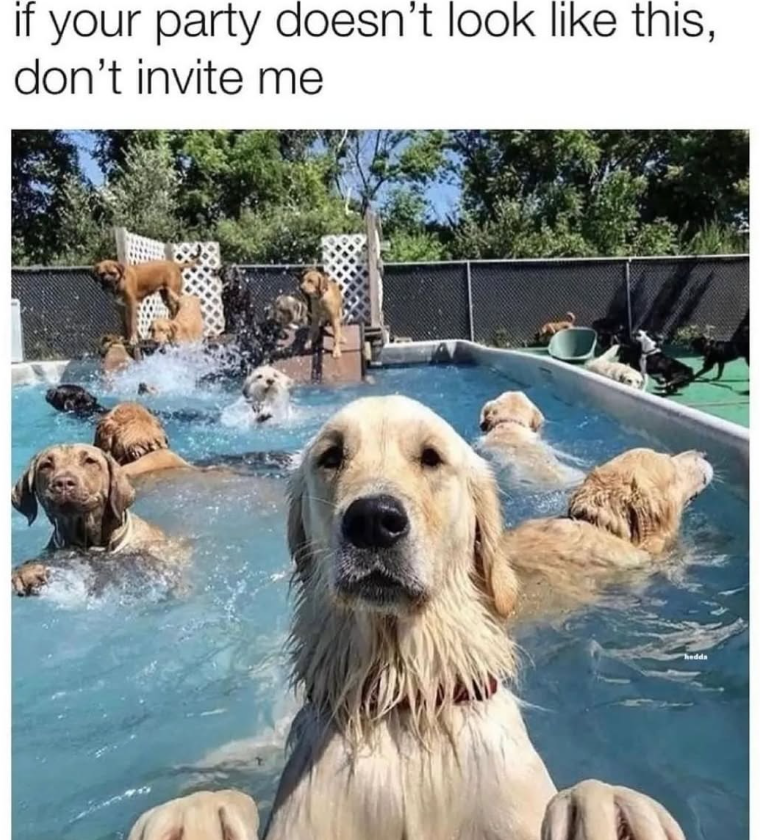 if your party doesn't look like this, don't invite me hadds
