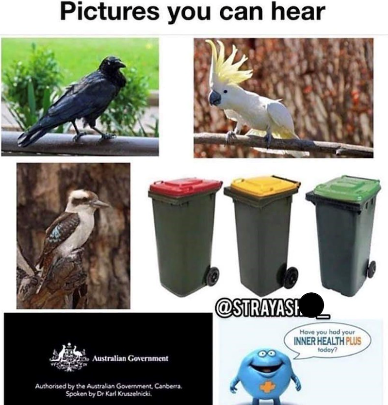 Pictures you can hear Australian Government Authorised by the Australian Government, Canberra. Spoken by Dr Karl Kruszelnicki, @STRAYASH Have you had your INNER HEALTH PLUS today?