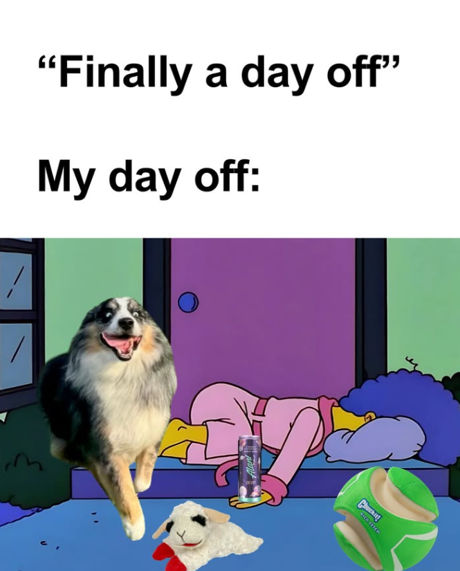 "Finally a day off" My day off: Chuckity KICH FETCH