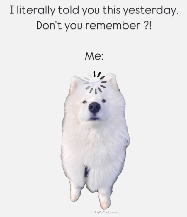 I literally told you this yesterday. Don't you remember?! Me: KingKaiTheSamoyed