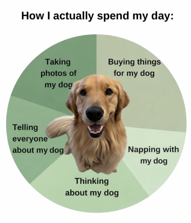 How I actually spend my day: Taking photos of Buying things for my dog my dog Telling everyone about my dog Thinking about my dog Napping with my dog