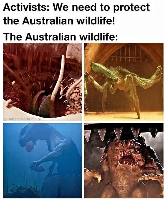 Activists: We need to protect the Australian wildlife! The Australian wildlife: @GalacticGeekEmpire