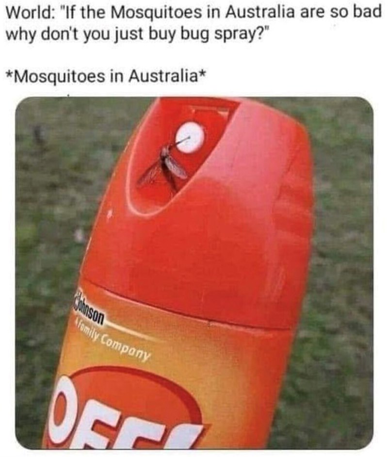World: "If the Mosquitoes in Australia are so bad why don't you just buy bug spray?" *Mosquitoes in Australia* hnson Family Company