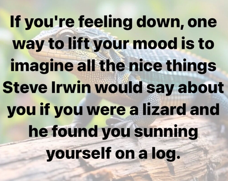If you're feeling down, one way to lift your mood is to imagine all the nice things Steve Irwin would say about you if you were a lizard and he found you sunning yourself on a log.