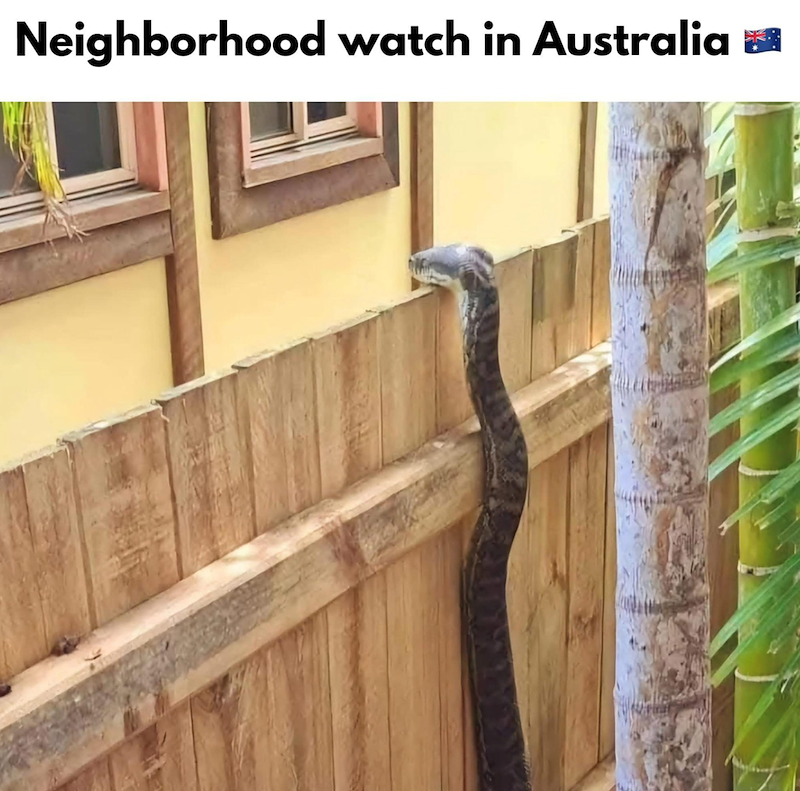 Neighborhood watch in Australia