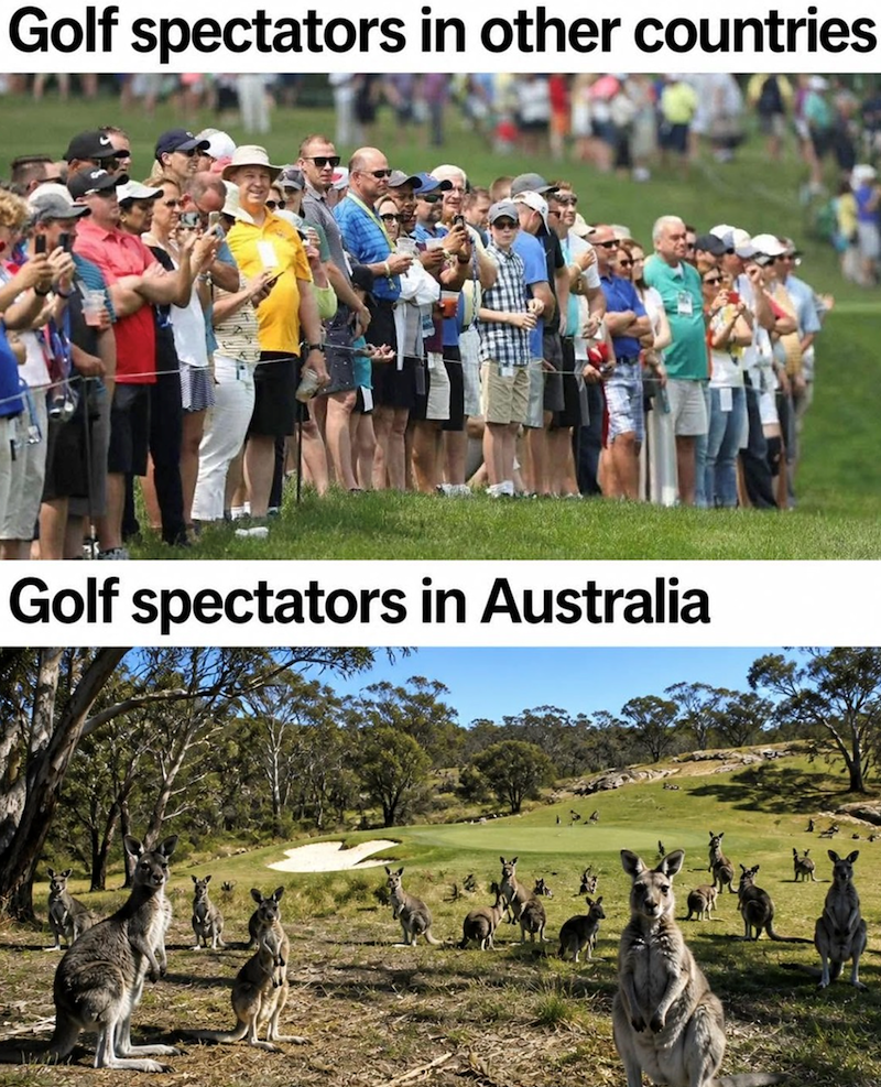 Golf spectators in other countries Golf spectators in Australia
