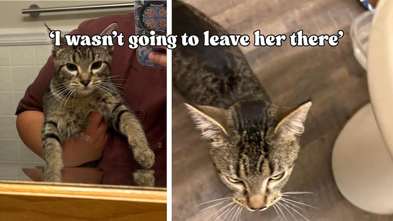 I wasn't going to leave her there'