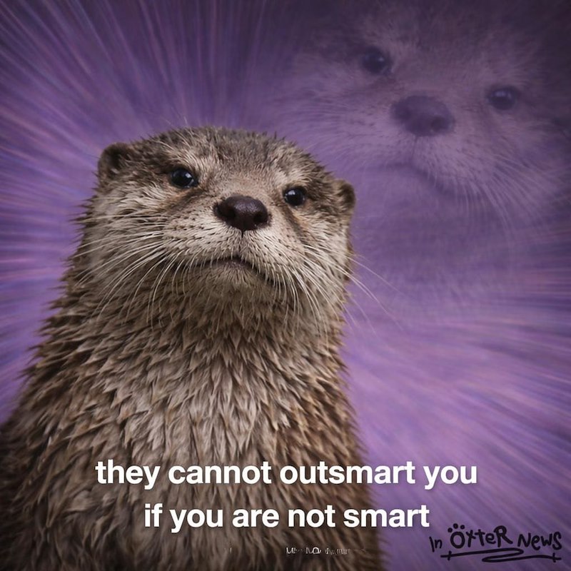 they cannot outsmart you if you are not smart Maur In Otter News