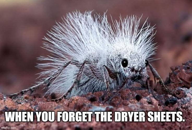 WHEN YOU FORGET THE DRYER SHEETS. imgflip.com