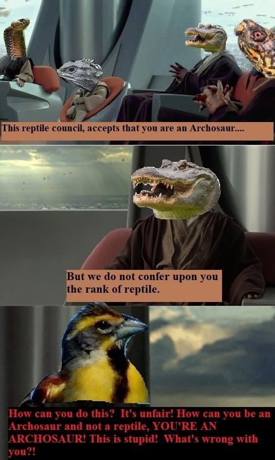 This reptile council, accepts that you are an Archosaur.... But we do not confer upon you the rank of reptile. How can you do this? It's unfair! How can you be an Archosaur and not a reptile, YOU'RE AN ARCHOSAUR! This is stupid! What's wrong with you?!