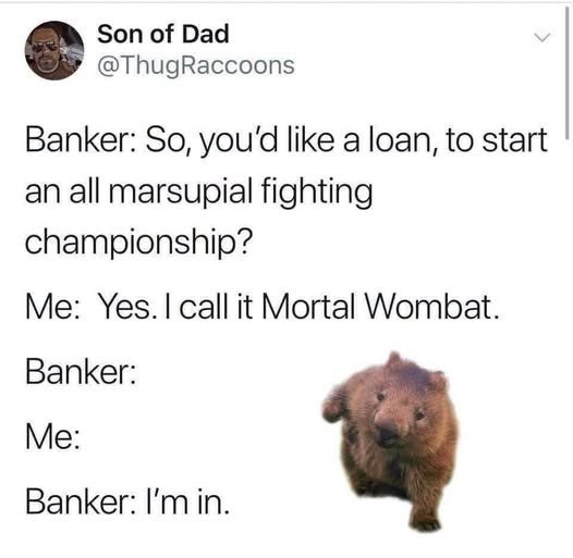 Son of Dad @ThugRaccoons Banker: So, you'd like a loan, to start an all marsupial fighting championship? Me: Yes. I call it Mortal Wombat. Banker: Me: Banker: I'm in.