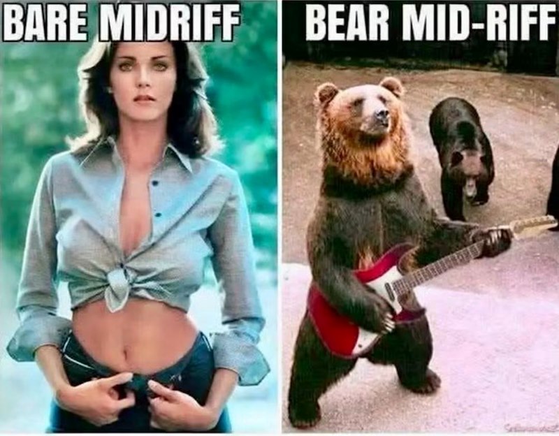 BARE MIDRIFF BEAR MID-RIFF