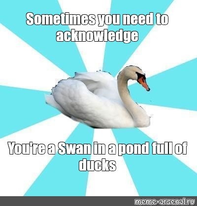 Sometimes you need to acknowledge You're a Swan in a pond full of ducks meme-arsenalru