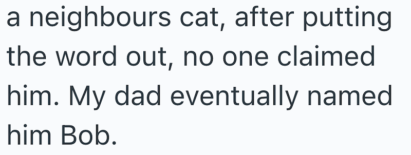 a neighbours cat, after putting the word out, no one claimed him. My dad eventually named him Bob.