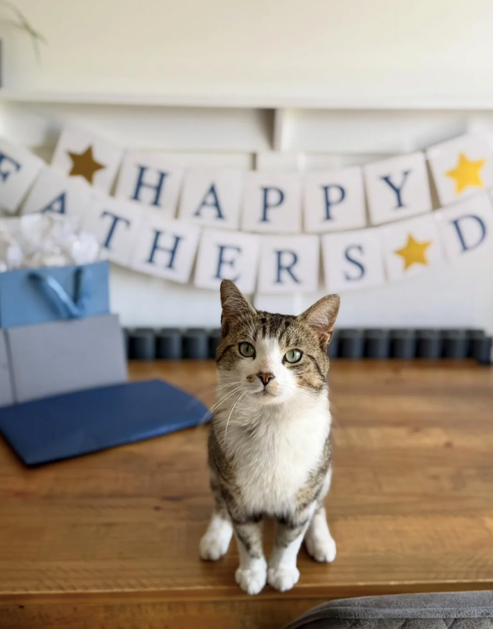 HAPPY THERS D D