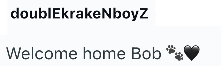 doublEkrakeNboyZ Welcome home Bob