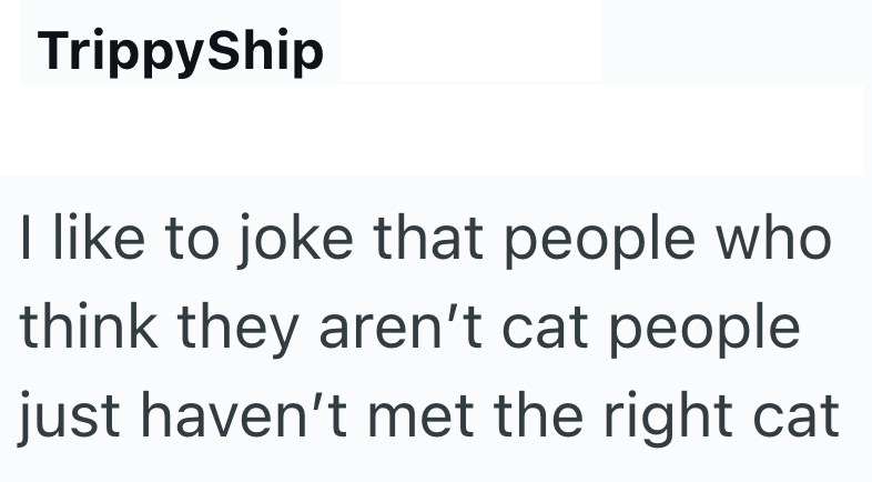TrippyShip I like to joke that people who think they aren't cat people just haven't met the right cat