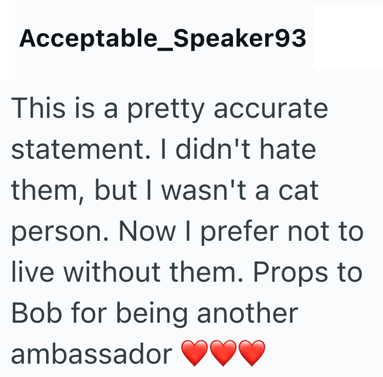 Acceptable_Speaker93 This is a pretty accurate statement. I didn't hate them, but I wasn't a cat person. Now I prefer not to live without them. Props to Bob for being another ambassador