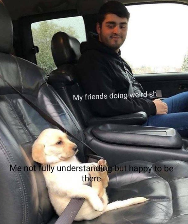 My friends doing weird sh Me not fully understanding but happy to be there