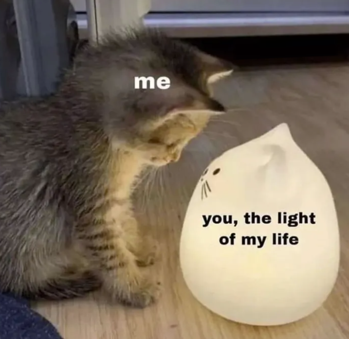 me you, the light of my life
