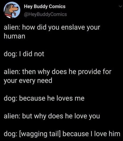 Hey Buddy Comics @HeyBuddyComics alien: how did you enslave your human dog: I did not alien: then why does he provide for your every need dog: because he loves me alien: but why does he love you dog: [wagging tail] because I love him