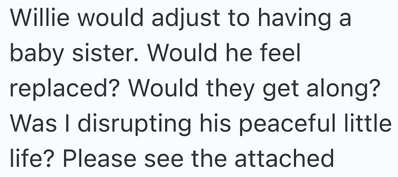 Willie would adjust to having a baby sister. Would he feel replaced? Would they get along? Was I disrupting his peaceful little life? Please see the attached
