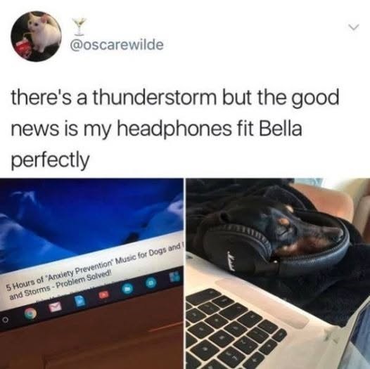 @oscarewilde there's a thunderstorm but the good news is my headphones fit Bella perfectly 5 Hours of "Anxiety Prevention Music for Dogs and and Storms-Problem Solved!