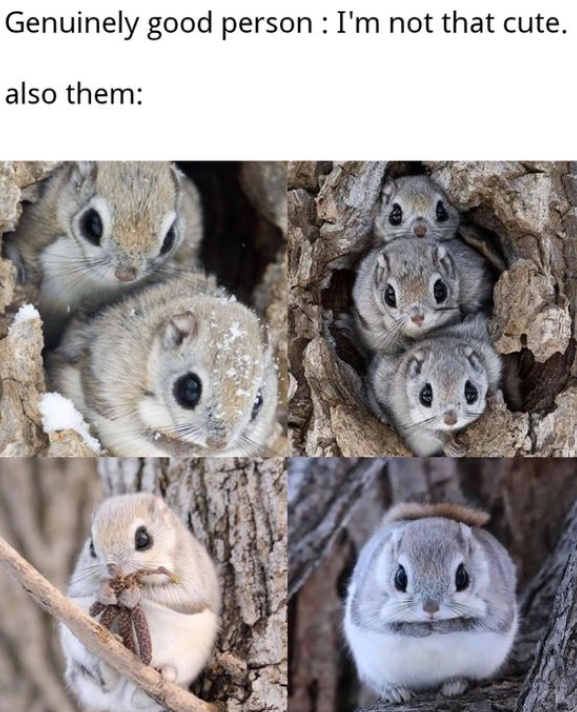 Genuinely good person: I'm not that cute. also them: