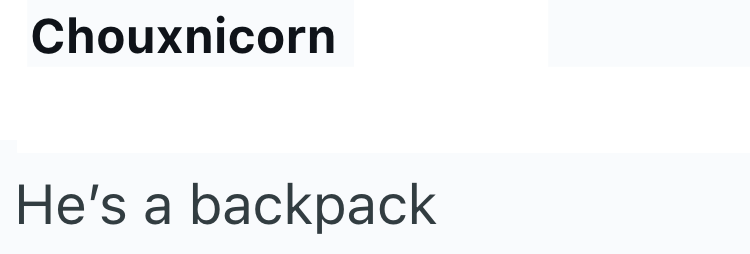 Chouxnicorn He's a backpack