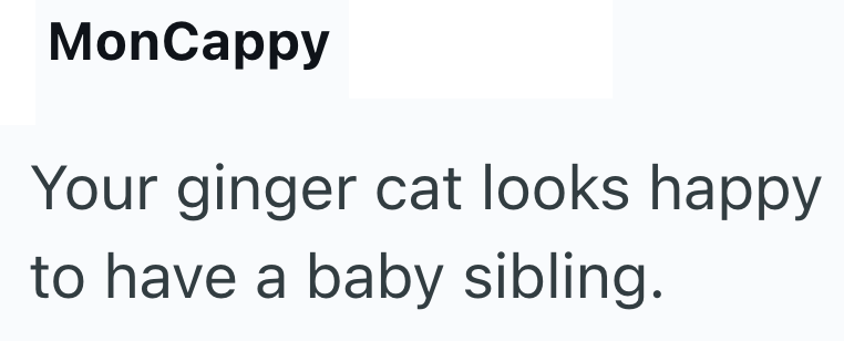 MonCappy Your ginger cat looks happy to have a baby sibling.
