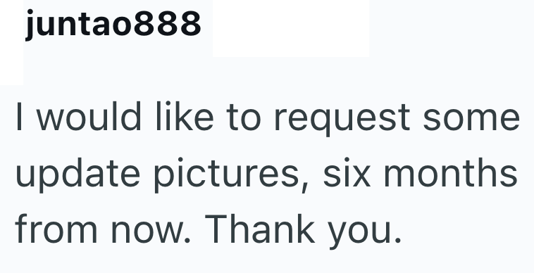 juntao888 I would like to request some update pictures, six months from now. Thank you.