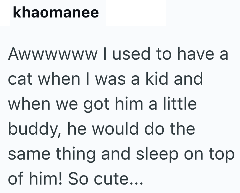 khaomanee Awwwwww I used to have a cat when I was a kid and when we got him a little buddy, he would do the same thing and sleep on top of him! So cute...