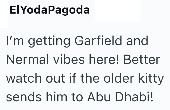 ElYodaPagoda I'm getting Garfield and Nermal vibes here! Better watch out if the older kitty sends him to Abu Dhabi!