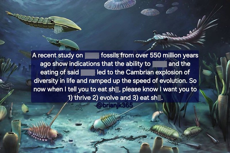 A recent study on fossils from over 550 million years ago show indications that the ability to eating of said and the led to the Cambrian explosion of diversity in life and ramped up the speed of evolution. So now when I tell you to eat sh, please know I want you to 1) thrive 2) evolve and 3) eat sh. @brianjk365