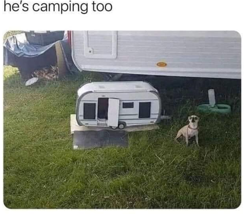 he's camping too